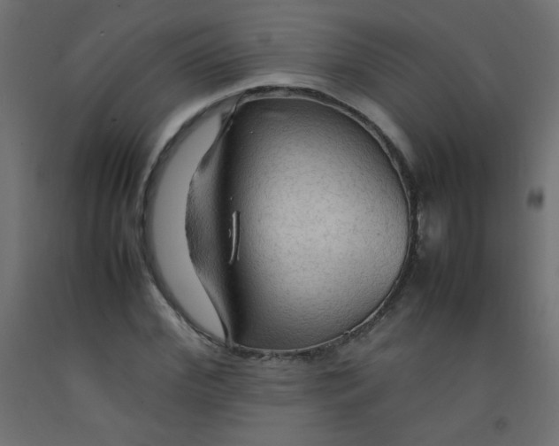 X0000092070972200710101015