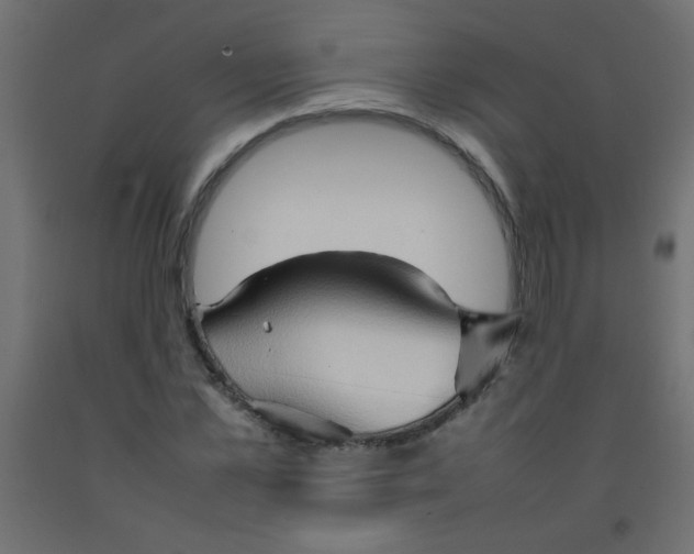 X0000092070973200710101015