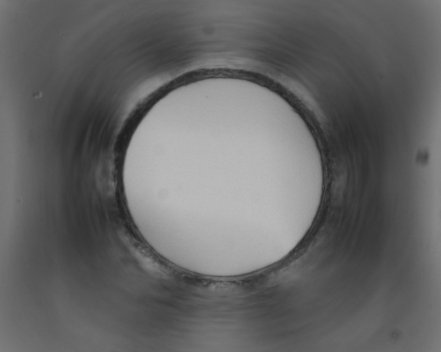 X0000092070974200710101015