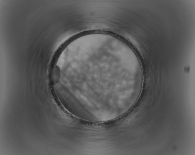 X0000092070975200710101015