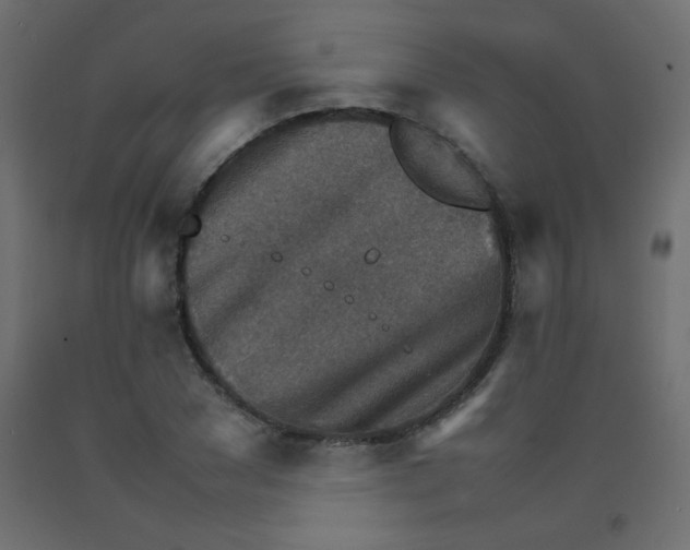 X0000092070977200710101015