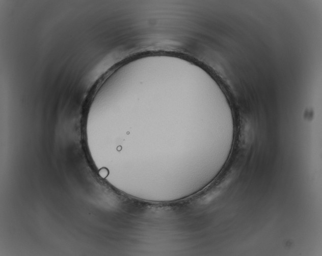X0000092070978200710101015
