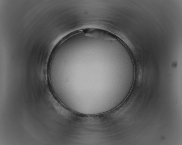 X0000092070980200710101015