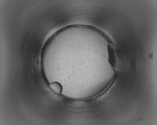 X0000092070982200710101015