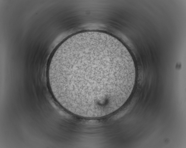 X0000092070986200710101015