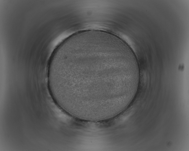 X0000092070987200710101015