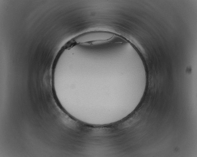 X0000092070988200710101015