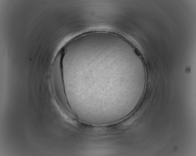 X0000092070989200710101015