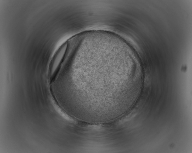 X0000092070990200710101015