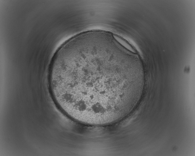 X0000092070991200710101015