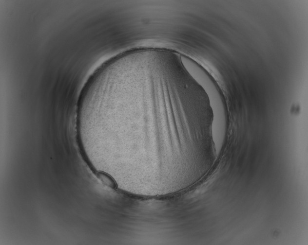 X0000092070992200710101015