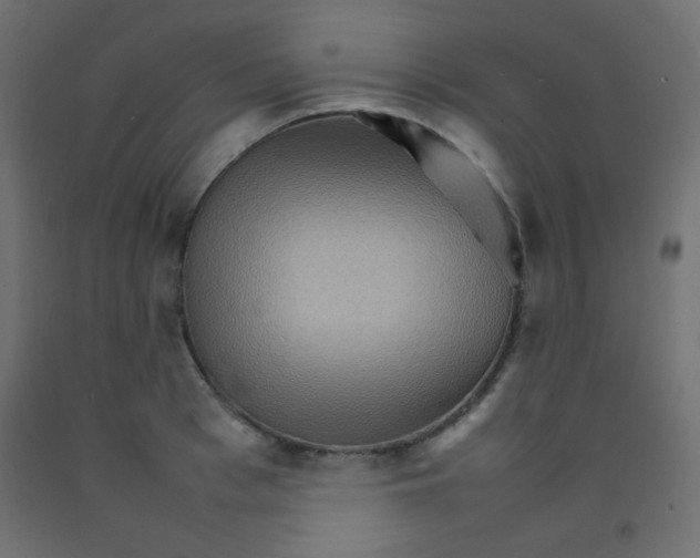 X0000092070993200710101015