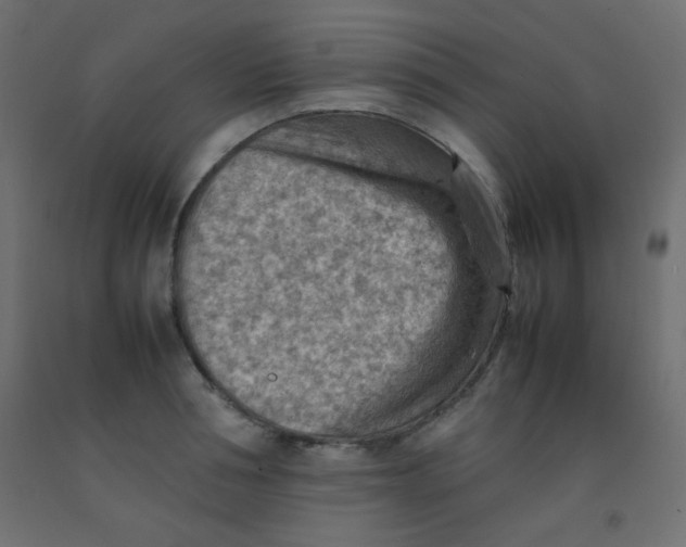 X0000092070994200710101015