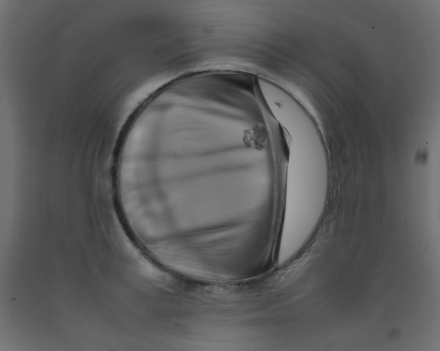 X0000092070995200710101015