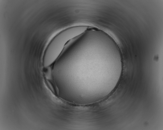 X0000092070996200710101014