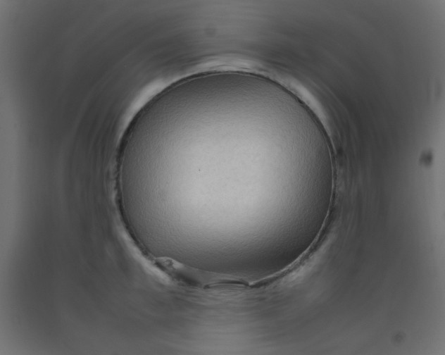 X0000092070997200710101014