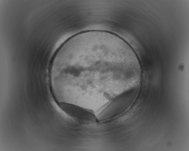 X0000092070998200710101014