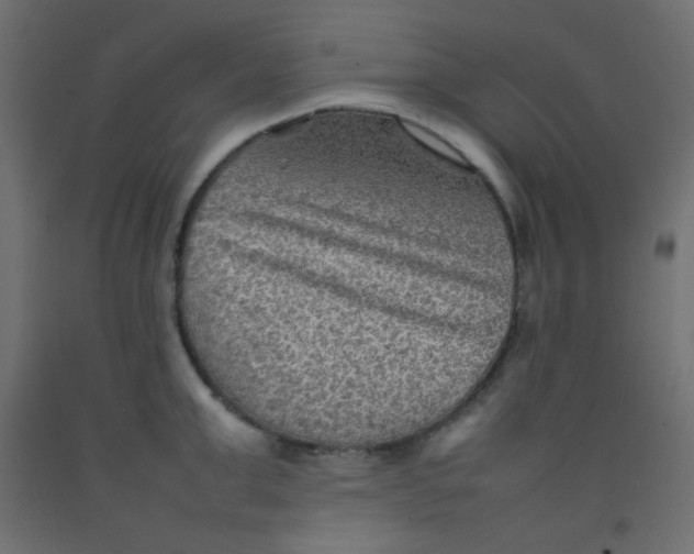 X0000092070999200710101014