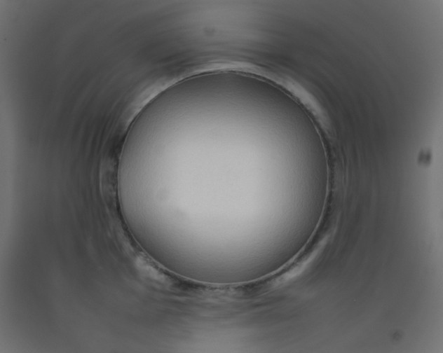 X0000092071001200710101014