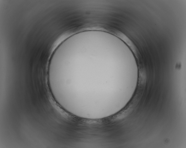 X0000092071002200710101014