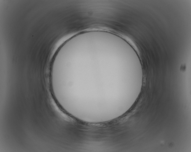 X0000092071003200710101014