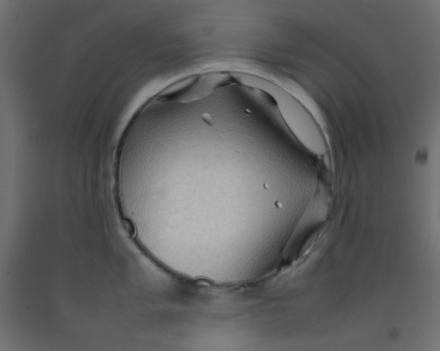 X0000092071005200710101014