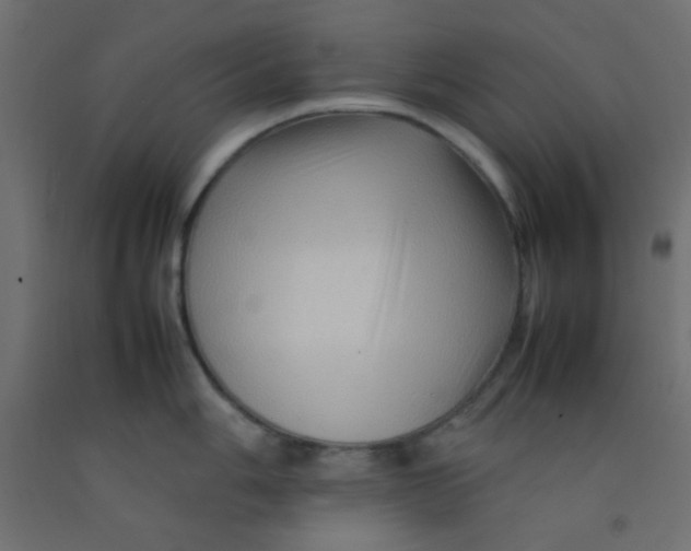 X0000092071006200710101014