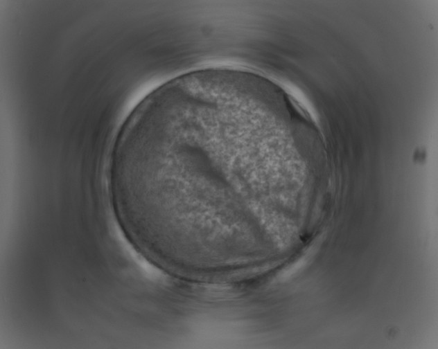 X0000092071007200710101014