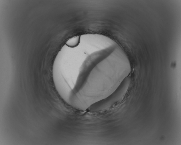 X0000092071009200710101014