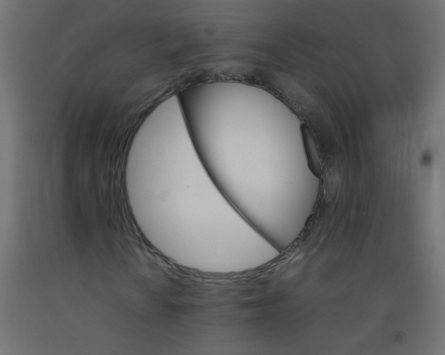 X0000092071010200710101014