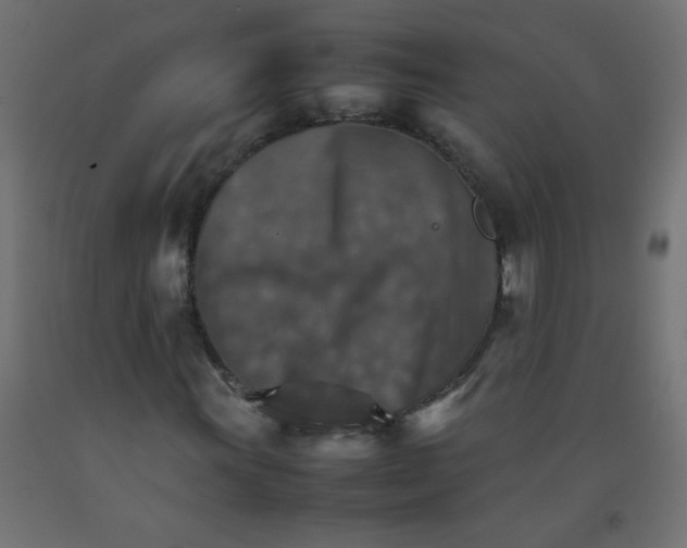 X0000092071011200710101014