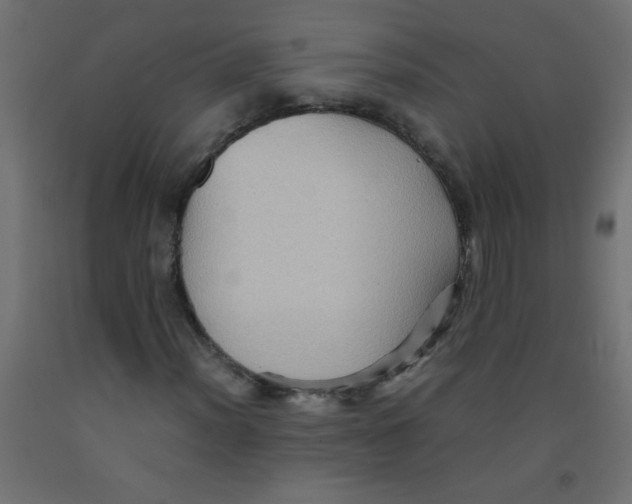 X0000092071012200710101014