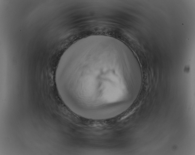 X0000092071013200710101014