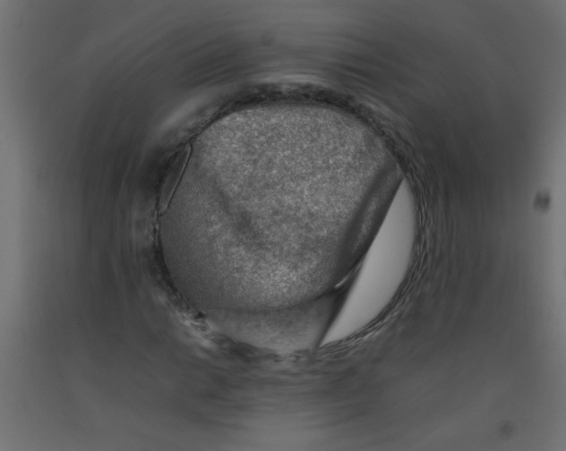 X0000092071014200710101014