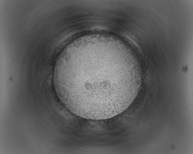 X0000092071015200710101014