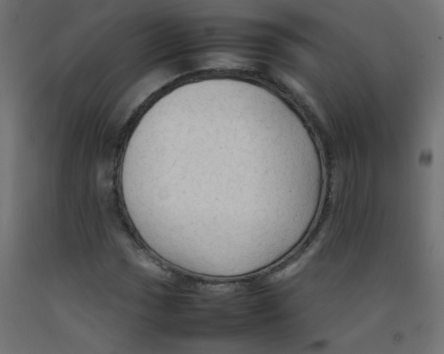 X0000092071017200710101014