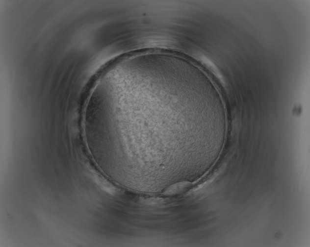 X0000092071019200710101014