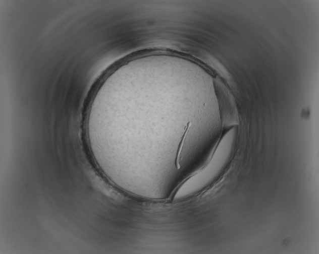 X0000092071020200710101014