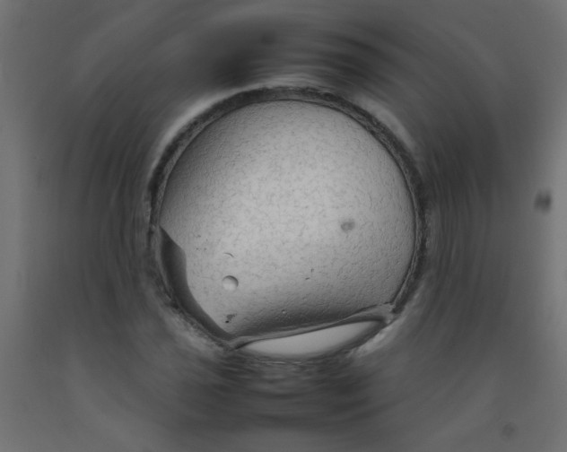 X0000092071021200710101014