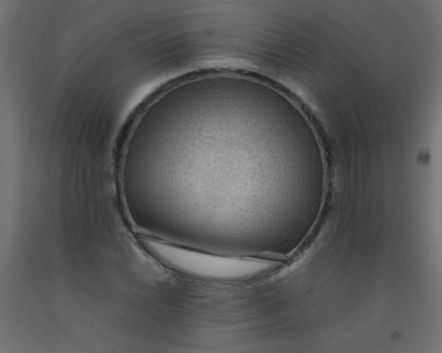 X0000092071022200710101014