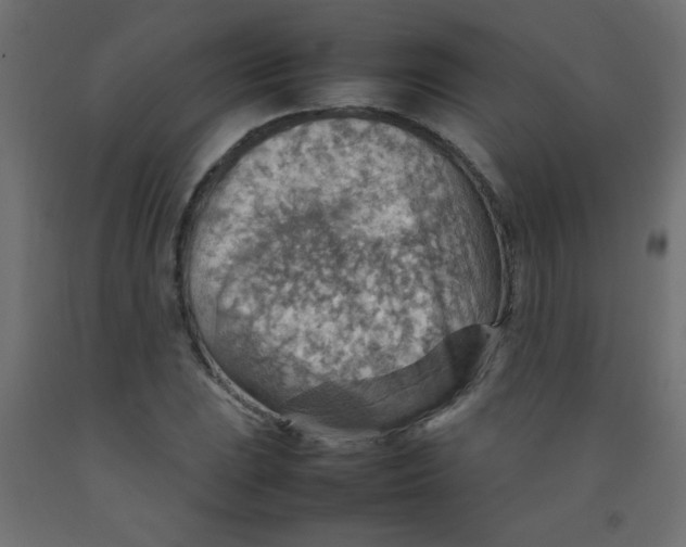 X0000092071023200710101014