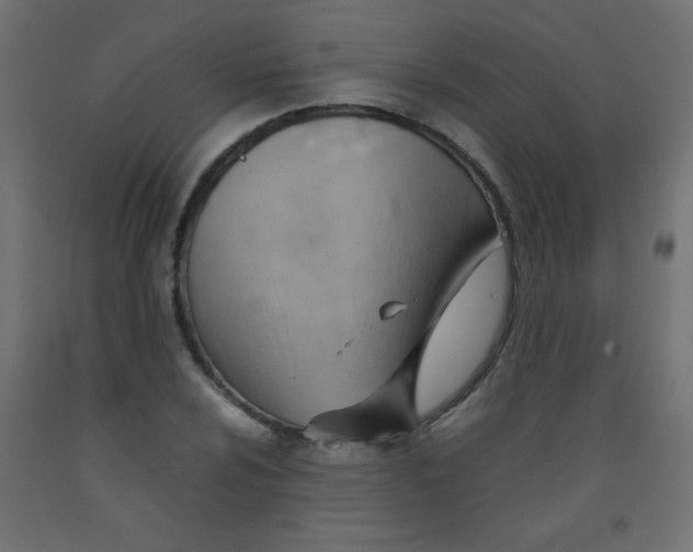 X0000092071024200710101014