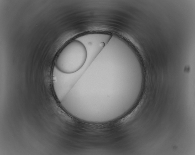 X0000092071025200710101014
