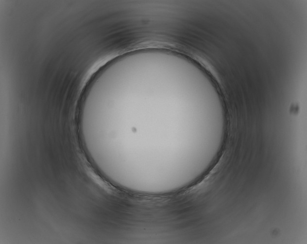 X0000092071026200710101014