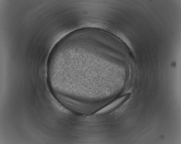 X0000092071028200710101014