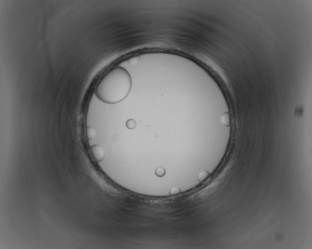 X0000092071029200710101014