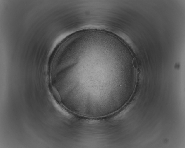 X0000092071030200710101014