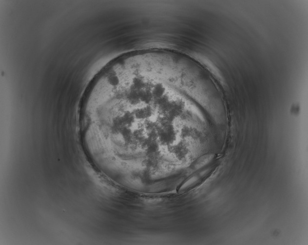 X0000092071031200710101014