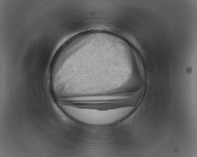 X0000092071032200710101014