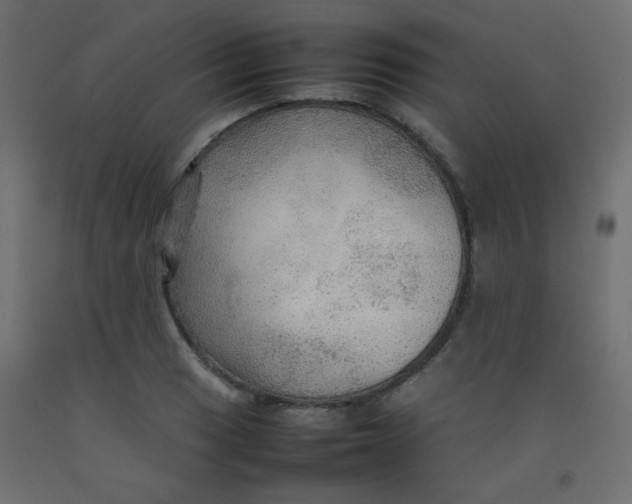 X0000092071033200710101014